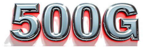 500g logo